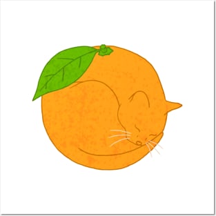 Orange Cat Posters and Art